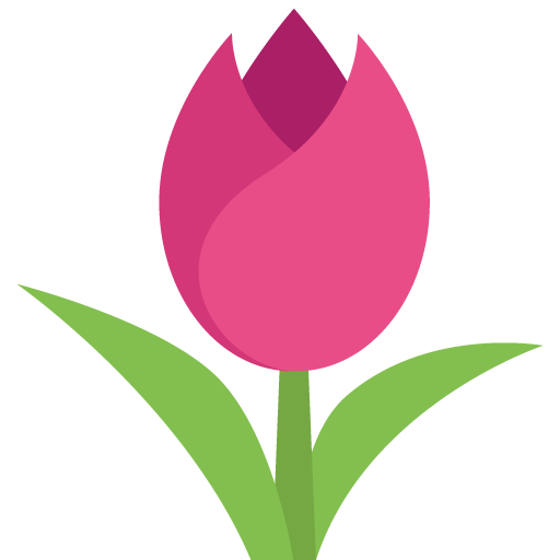 Flora Flower Tulip